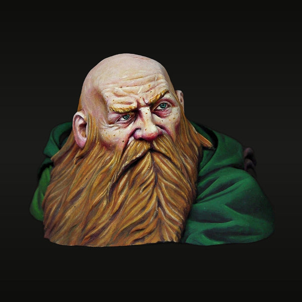 Fantasy Dwarf Bust with Long Flowing Beard 1/16 Resin Kit