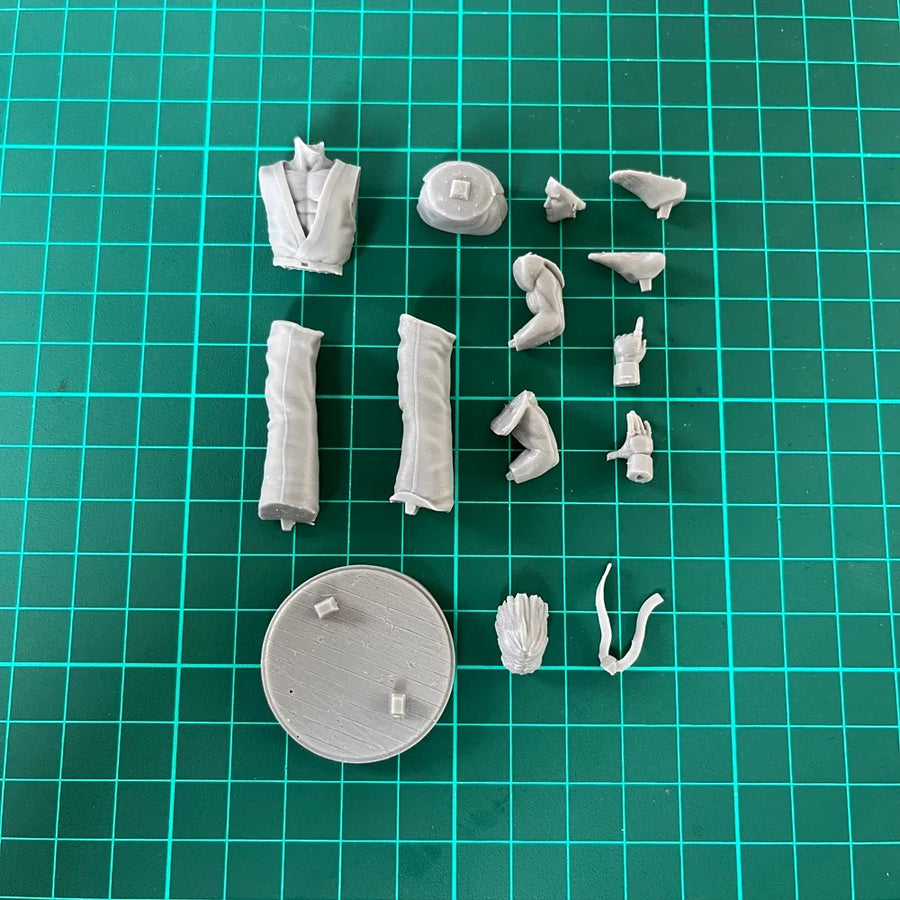 1/24 Resin Figure Unpainted Model Kit, Street Fighter, Ken Challenging, Unassembled and Unpainted GK