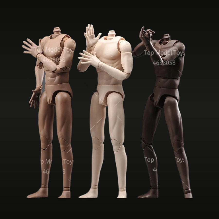 1/6 Scale Articulated Male Muscle Body Resin Figure - Three-Tone Kit - unpainted resin model kit