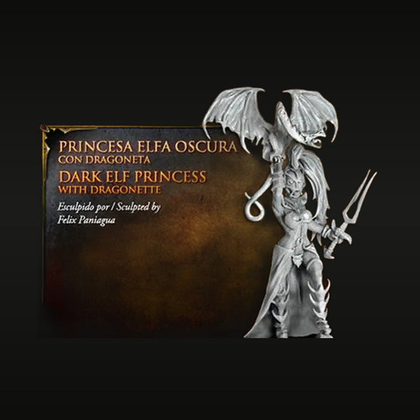 Dark Elf Princess with Dragonette 30mm Resin Figure Kit