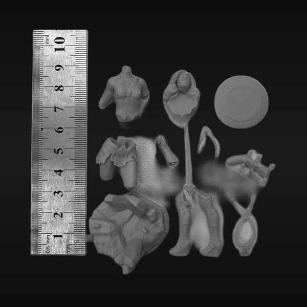 Fantasy Female Warrior with Shield 75mm Resin Figure Kit