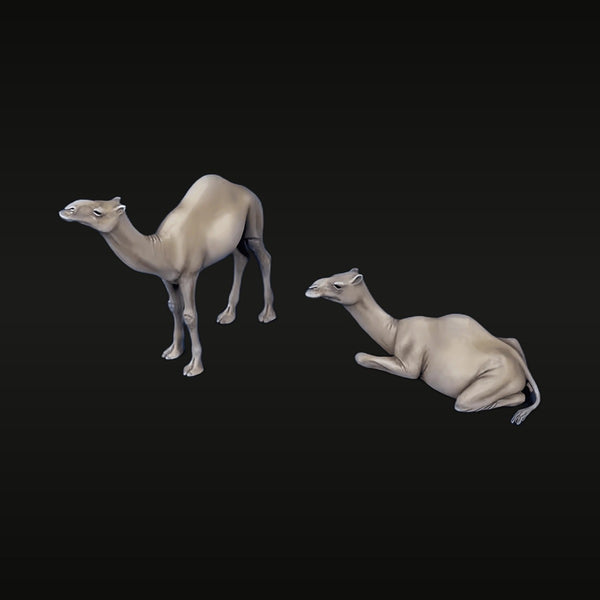 North African Dromedary Camels Scene 1/35 Resin Model Kit