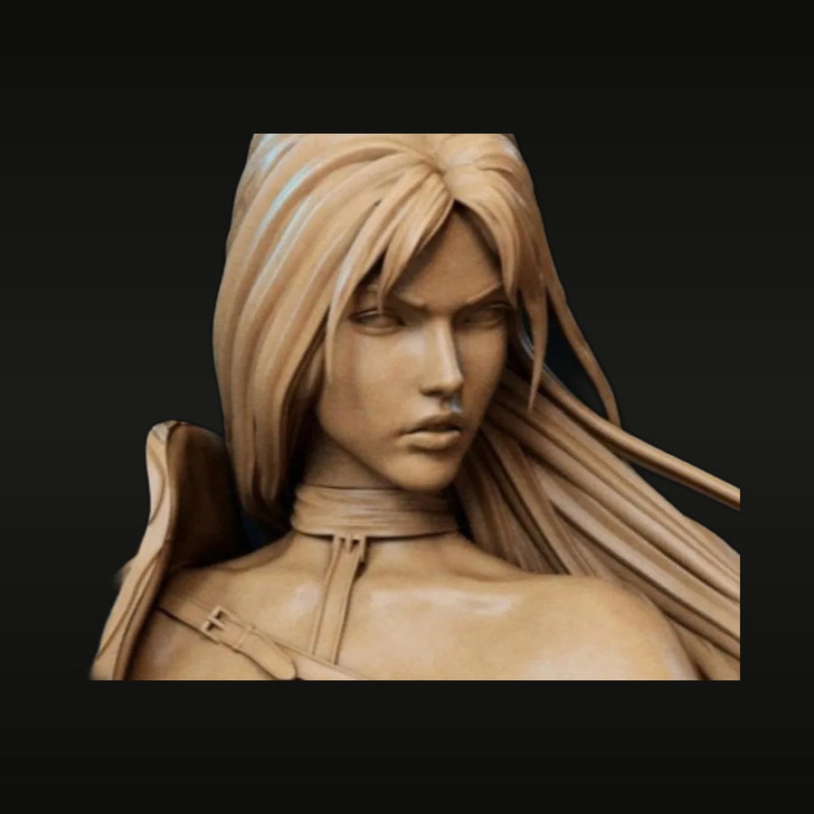 Fantasy Female Warrior Bust with Long Hair 75mm Resin Kit - unpainted resin model kit