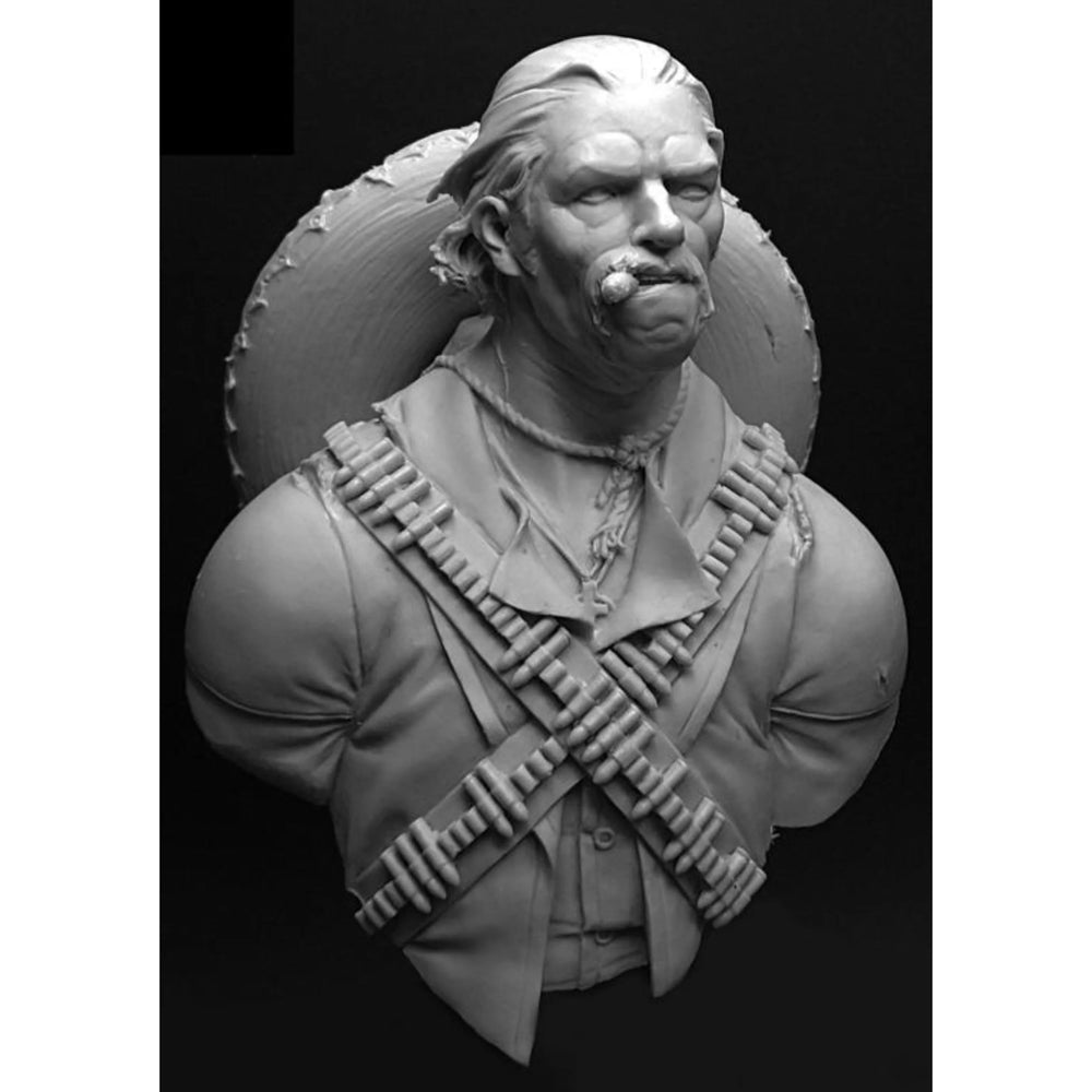 Warrior, Resin Model Bust Kit, Fantasy Theme, Unassembled and Unpainted