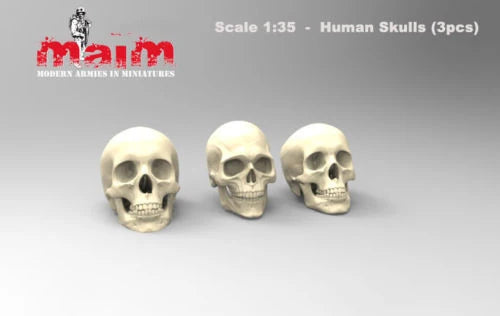 1/35 Skull Set for, 3 Figures, Resin Model Figure Kit, Fantasy Theme, Unassembled and Unpainted