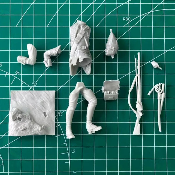 1/24 Napoleonic French Grenadier, Resin Model Figure Kit, Unassembled and Unpainted