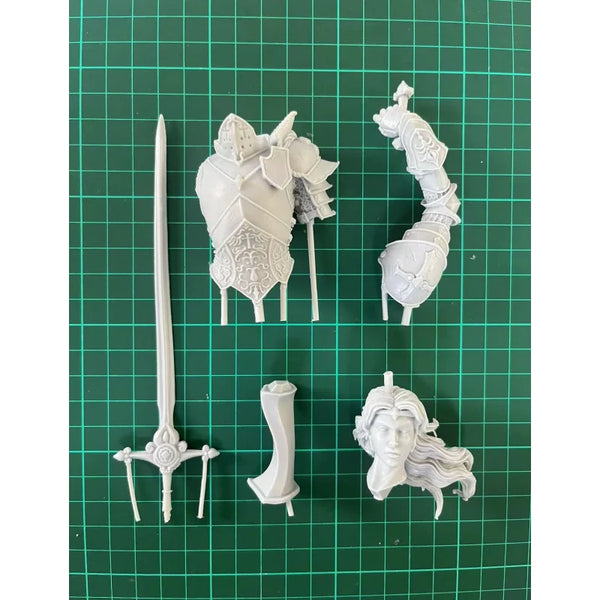 200mm Medieval Female Warrior, Resin Model Figure Kit, Fantasy Theme, Unassembled and Unpainted
