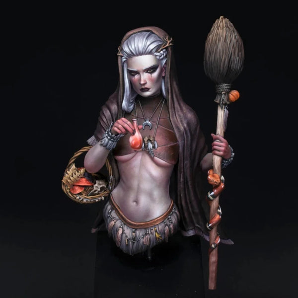 1/10 Medieval Sorceress Wiedzma, Resin Model Bust Kit, Unassembled and Unpainted