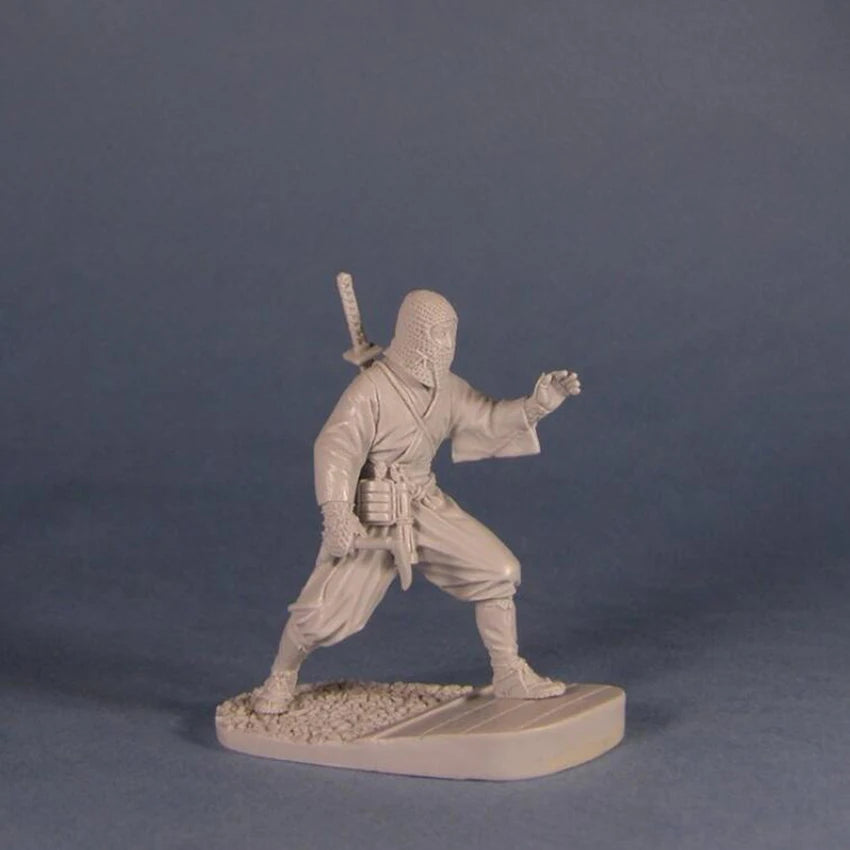 1/32 Martial Artist Swordsman, Resin Model Figure Kit, Anime Theme, Unassembled and Unpainted