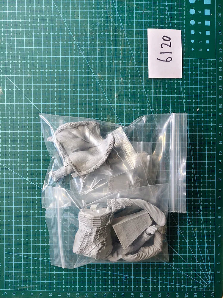 1/10 Warrior Officer, Resin Model Bust Kit, Fantasy Theme, Unassembled and Unpainted
