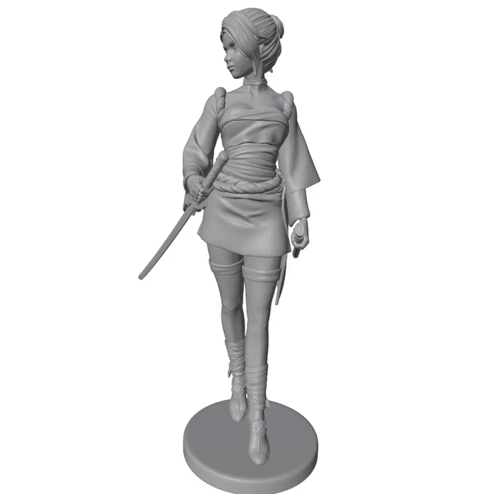 1/24 Dual-Wielding Swordswoman with Wrapped Armor, Resin Model Figure Kit, Fantasy Theme, Unassembled and Unpainted