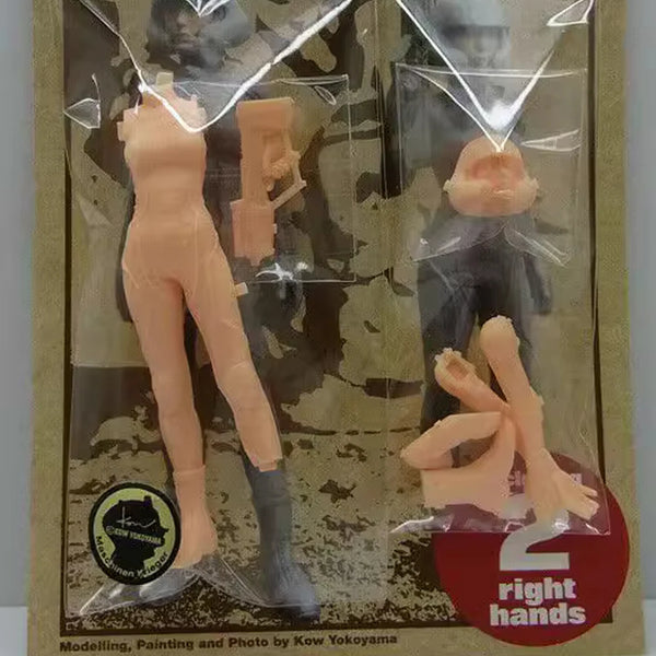 1/20 Hannah Lieutenant, 2 Figures, Resin Model Figure Kit, Sci-Fi Theme, Unassembled and Unpainted