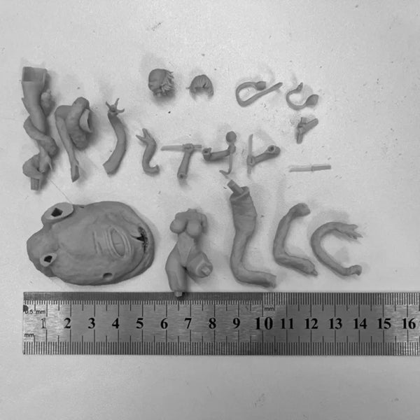 1/24 Octopus and Girl, 2 Figures, Resin Model Figure Kit, Fantasy Theme, Unassembled and Unpainted