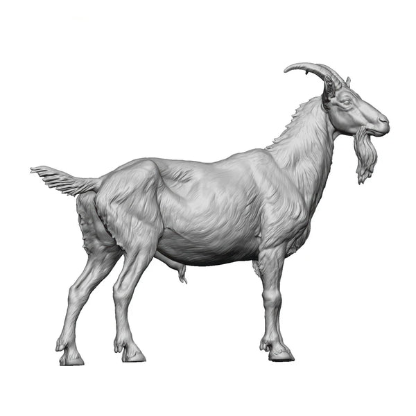 1/35 Male Goat, Resin Model Creature Kit, Wildlife Theme, Unassembled and Unpainted