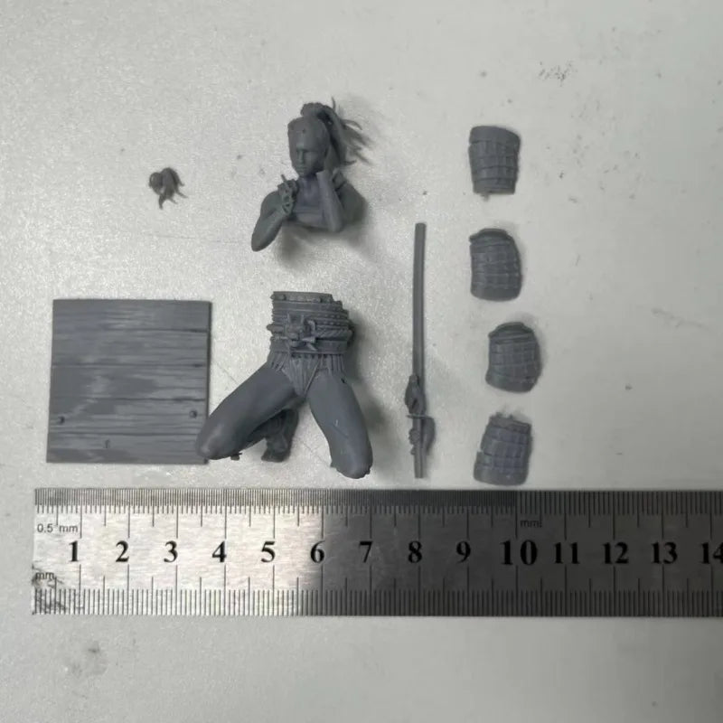 1/24 Medieval Female Samurai Warrior Kneeling with Katana, Resin Model Figure Kit, Unassembled and Unpainted