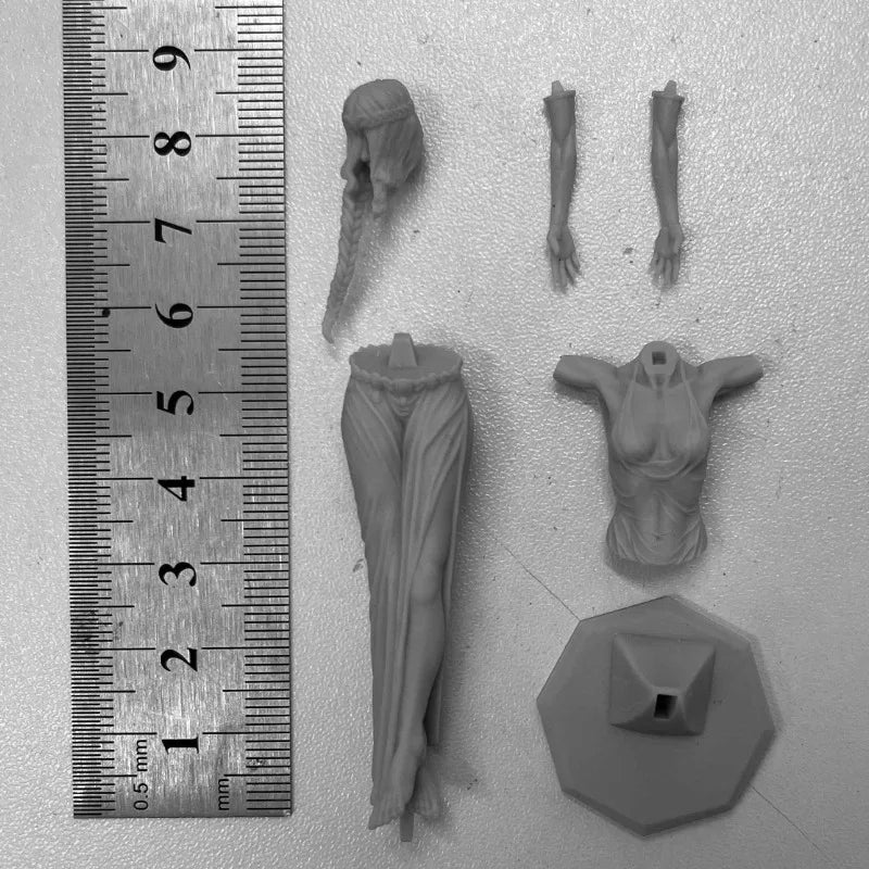 1/24 Victorious Female with Braided Hair, Resin Model Figure Kit, Fantasy Theme, Unassembled and Unpainted