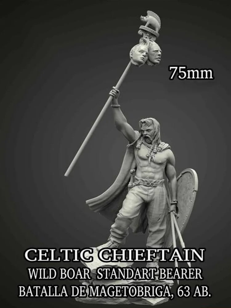 75mm Ancient Celtic Chieftain, Resin Model Figure Kit, Unassembled and Unpainted