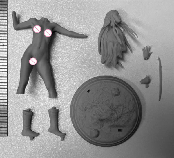 1/24 Long-Haired Elf Warrior with Sword, Resin Model Figure Kit, Fantasy Theme, Unassembled and Unpainted