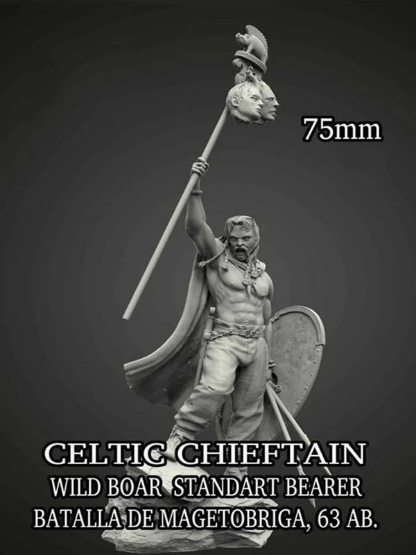 75mm Ancient Celtic Chieftain, Resin Model Figure Kit, Unassembled and Unpainted