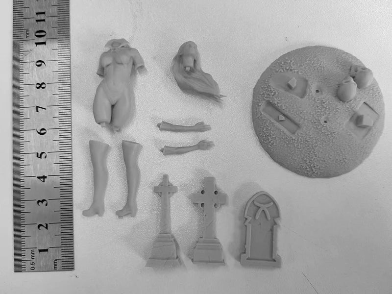 1/24 Medieval Ghost Queen, Resin Model Diorama Kit, Unassembled and Unpainted