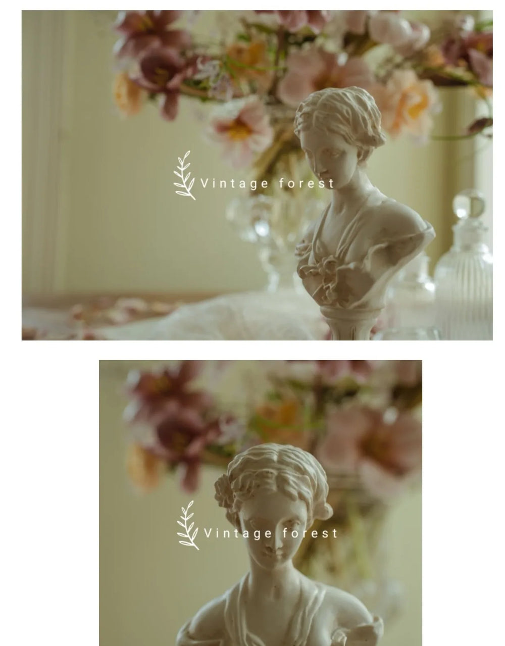 Classical Venus, Resin Model Bust Kit, Mythology Theme, Unassembled and Unpainted
