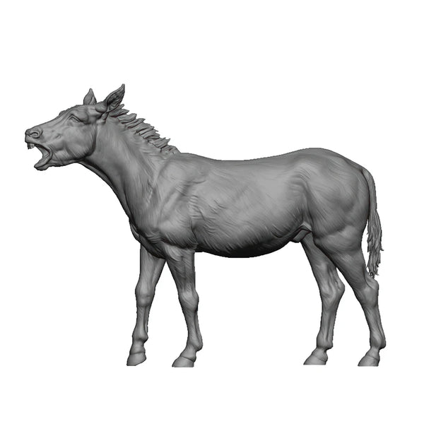 1/35 Donkey, Resin Model Creature Kit, Wildlife Theme, Unassembled and Unpainted
