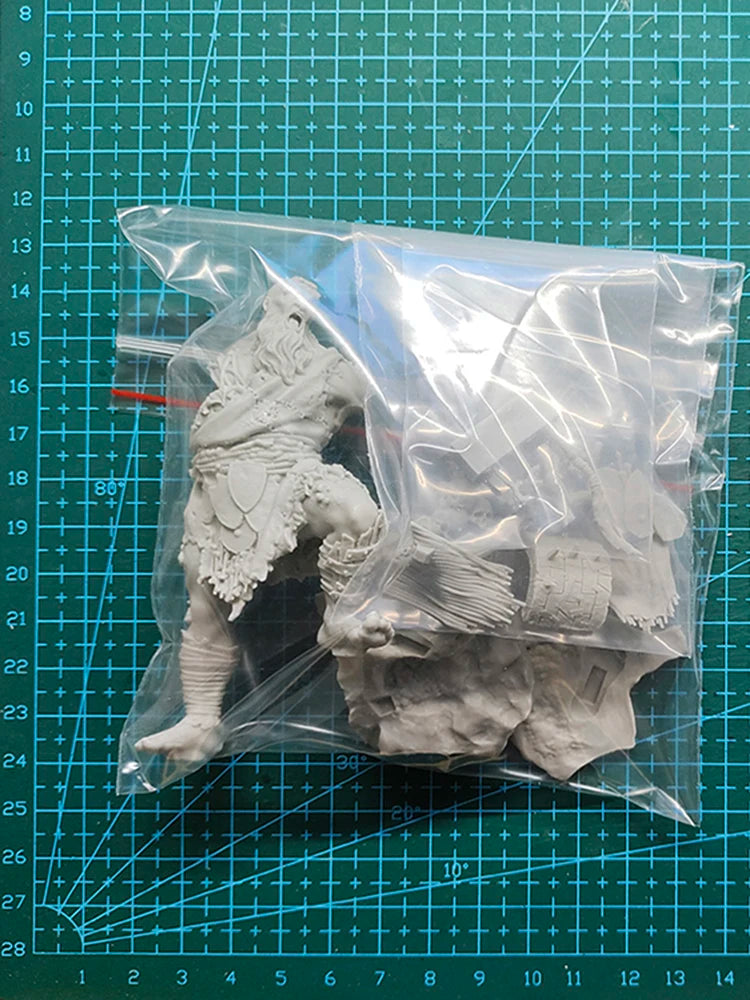1/18 Dwarf Warrior, Resin Model Figure Kit, Fantasy Theme, Unassembled and Unpainted