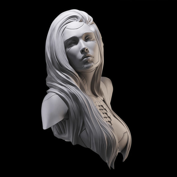 65mm Sorceress with Flowing Hair and Ornate Pauldrons, Resin Model Bust Kit, Fantasy Theme, Unassembled and Unpainted