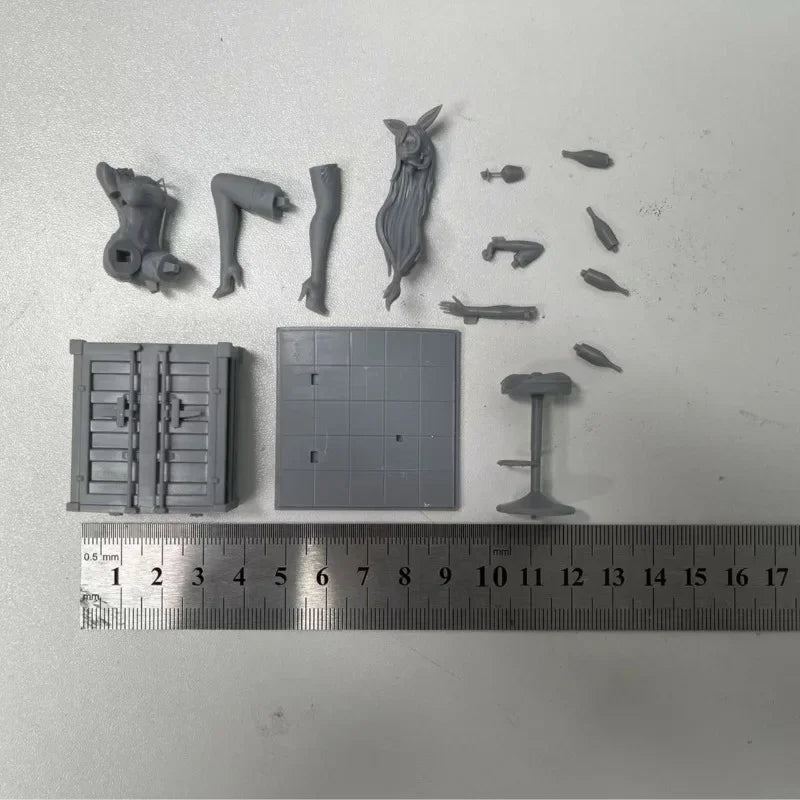 1/24 Bunny Girl Pin-up, Resin Model Figure Kit, Unassembled and Unpainted