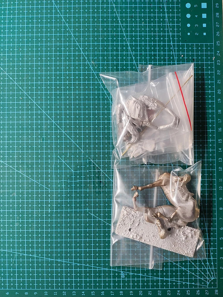 1/32 Napoleonic French Dragoon Standard Bearer, Resin Model Figure Kit, Unassembled and Unpainted
