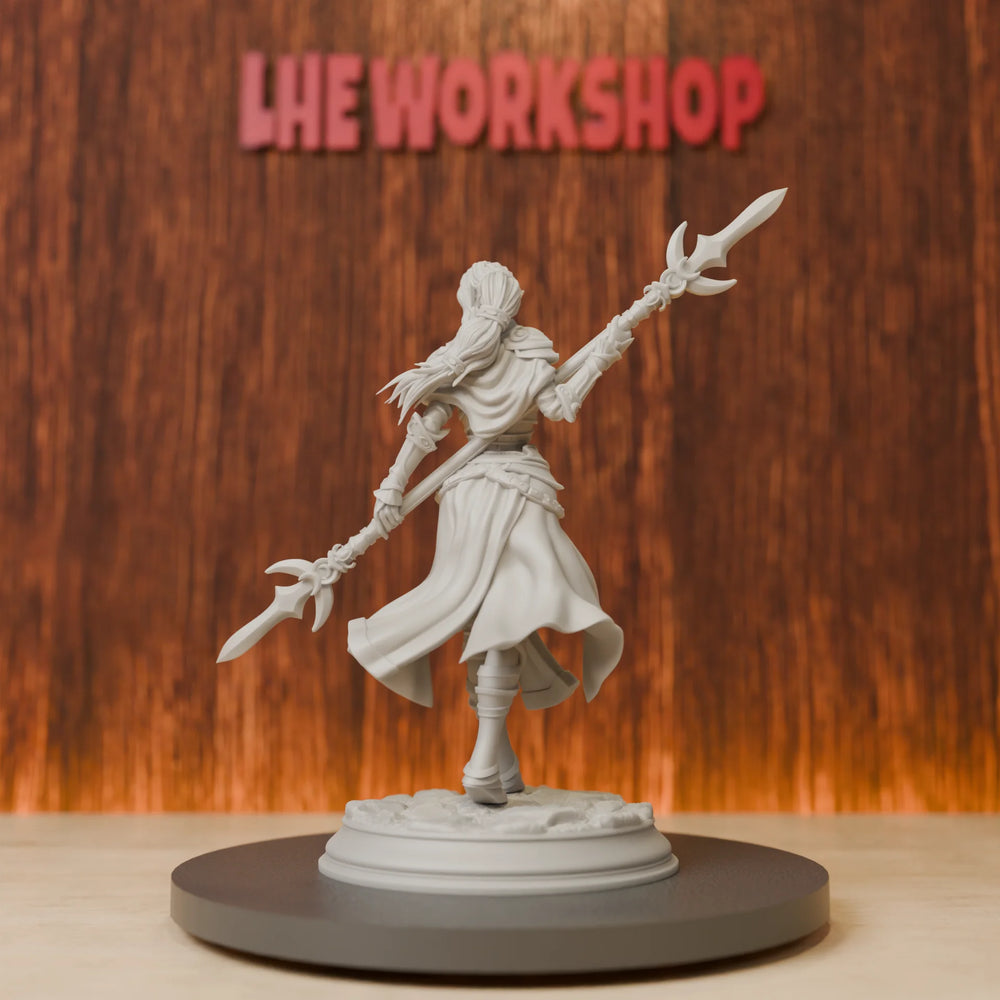 75mm Drow Paladin, Resin Model Figure Kit, Fantasy Theme, Unassembled and Unpainted