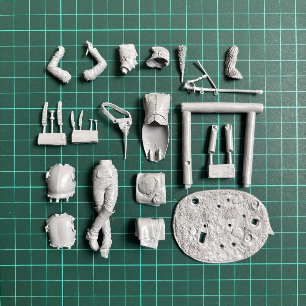 75mm Napoleonic French Cavalry Officer, Resin Model Bust Kit, Unassembled and Unpainted