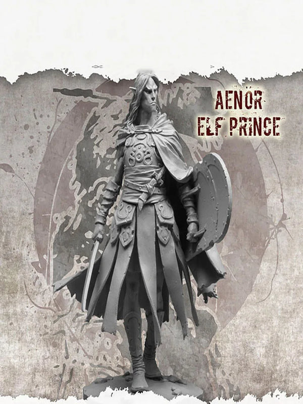75mm Elf Prince Warrior, Resin Model Figure Kit, Fantasy Theme, Unassembled and Unpainted