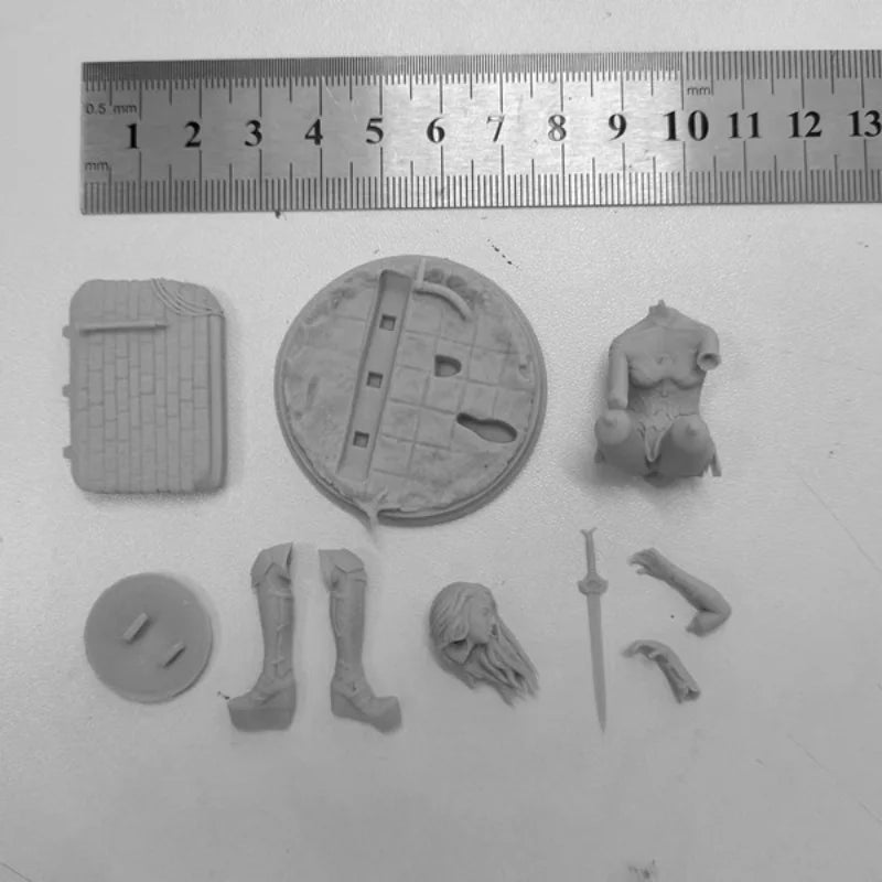 1/24 Injured Female Warrior, Resin Model Figure Kit, Fantasy Theme, Unassembled and Unpainted