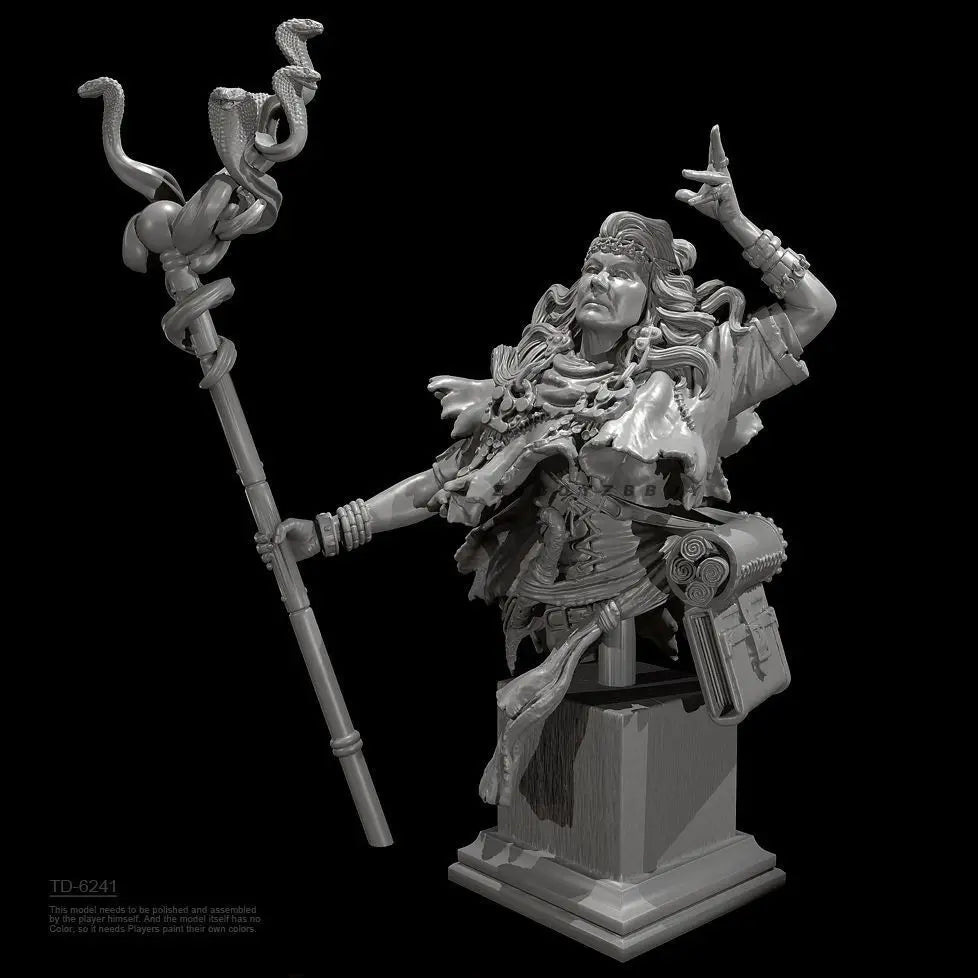 70mm Female Warrior & Mage, 3 Figures, Resin Model Figure Kit, Fantasy Theme, Unassembled and Unpainted