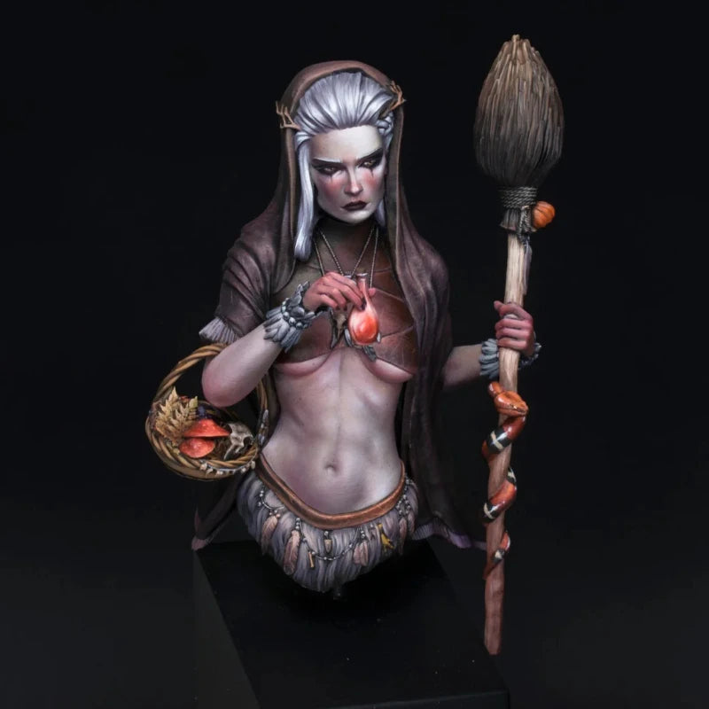 1/10 Medieval Sorceress Wiedzma, Resin Model Bust Kit, Unassembled and Unpainted