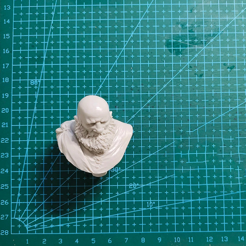 1/12 Bearded Scottish Wizard, Resin Model Bust Kit, Fantasy Theme, Unassembled and Unpainted