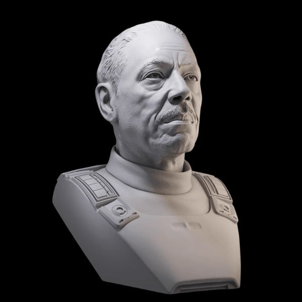 45mm Historical Male Portrait, Resin Model Bust Kit, Historical Theme, Unassembled and Unpainted