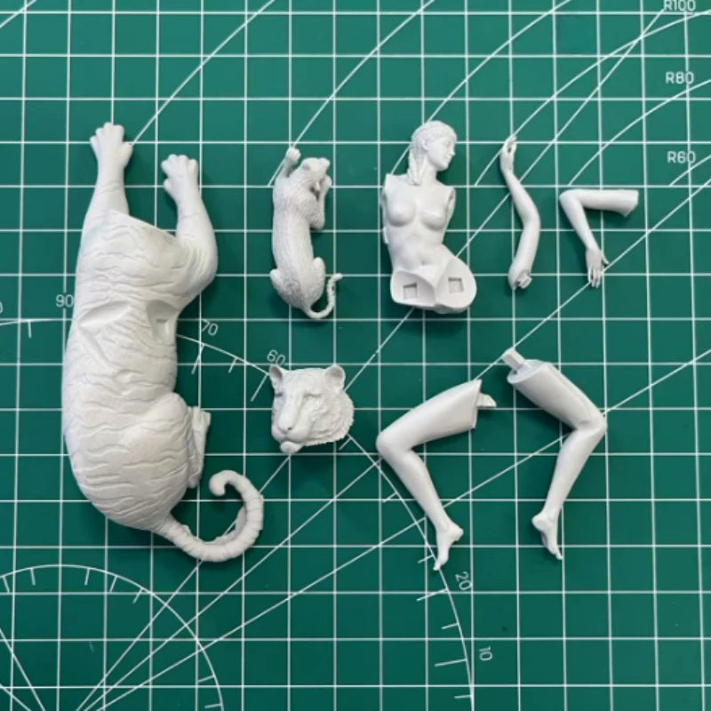 1/24 Beauty & Tiger, Resin Model Figure Kit, Fantasy Theme, Unassembled and Unpainted