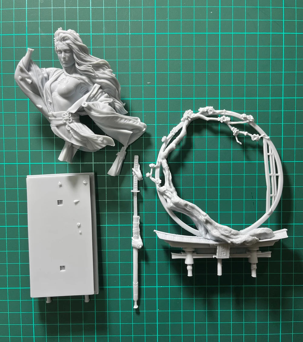 Female Warrior Sorceress, Resin Model Figure Kit, Fantasy Theme, Unassembled and Unpainted