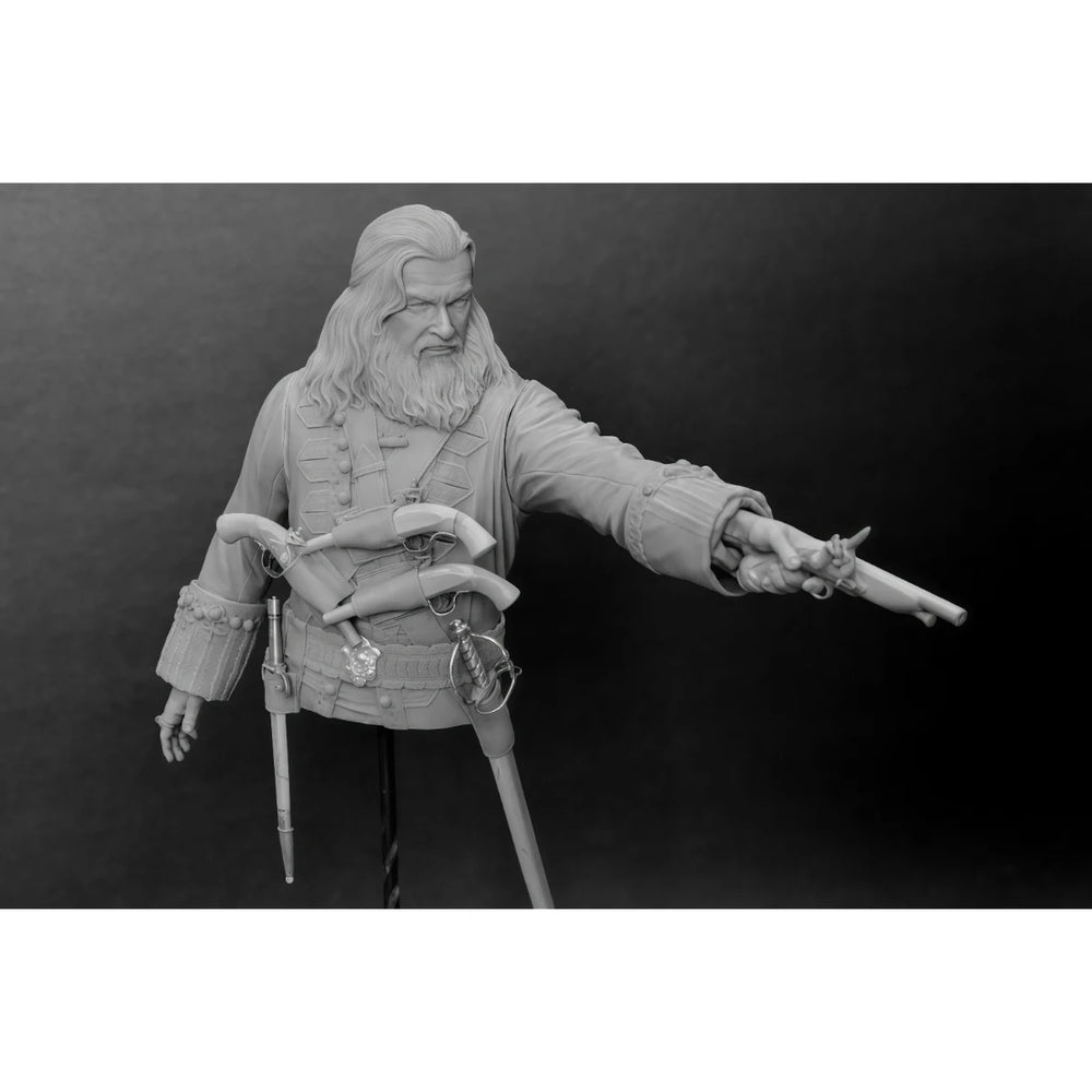 1/10 Medieval Fantasy Wizard Warrior, Resin Model Bust Kit, Fantasy Theme, Unassembled and Unpainted