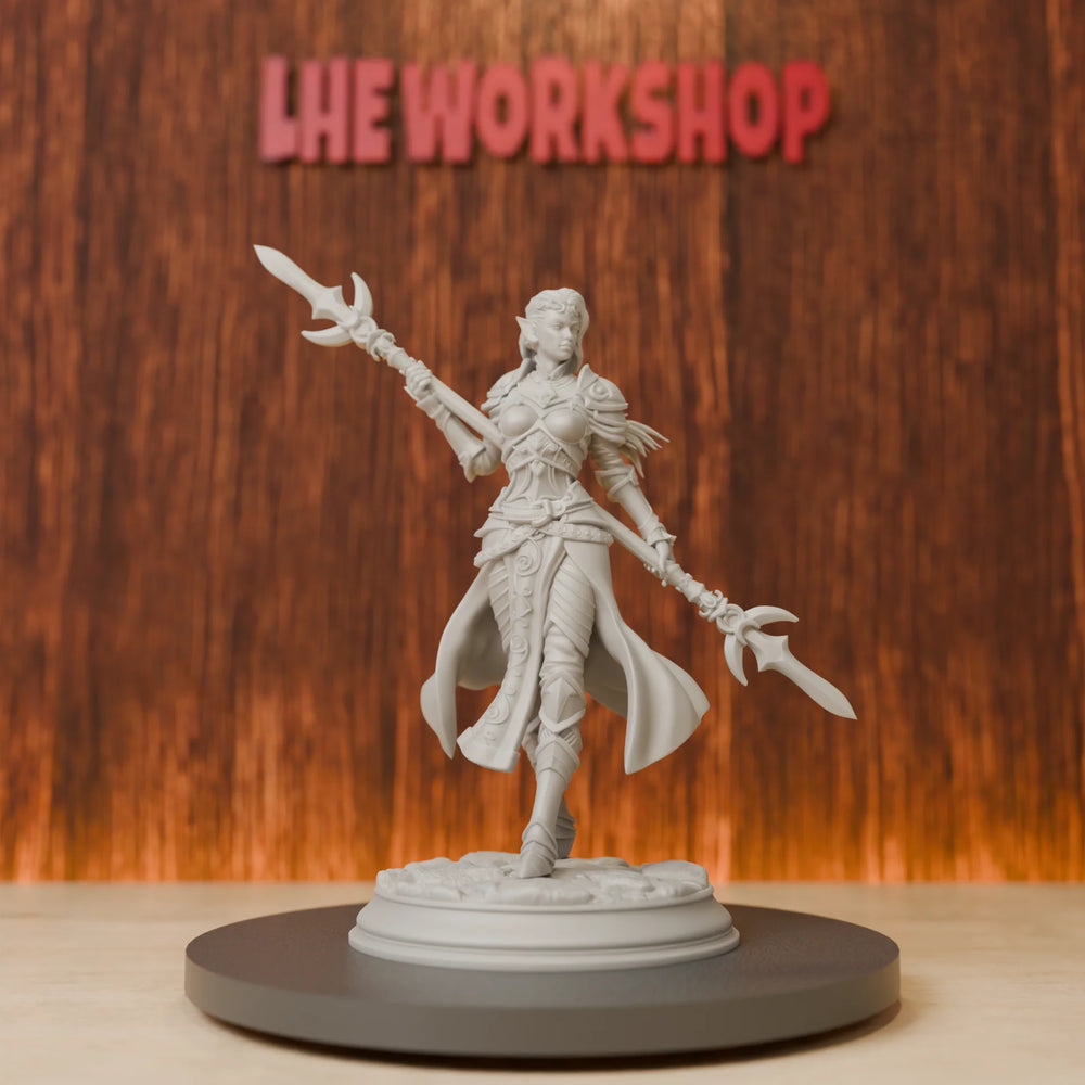 75mm Drow Paladin, Resin Model Figure Kit, Fantasy Theme, Unassembled and Unpainted