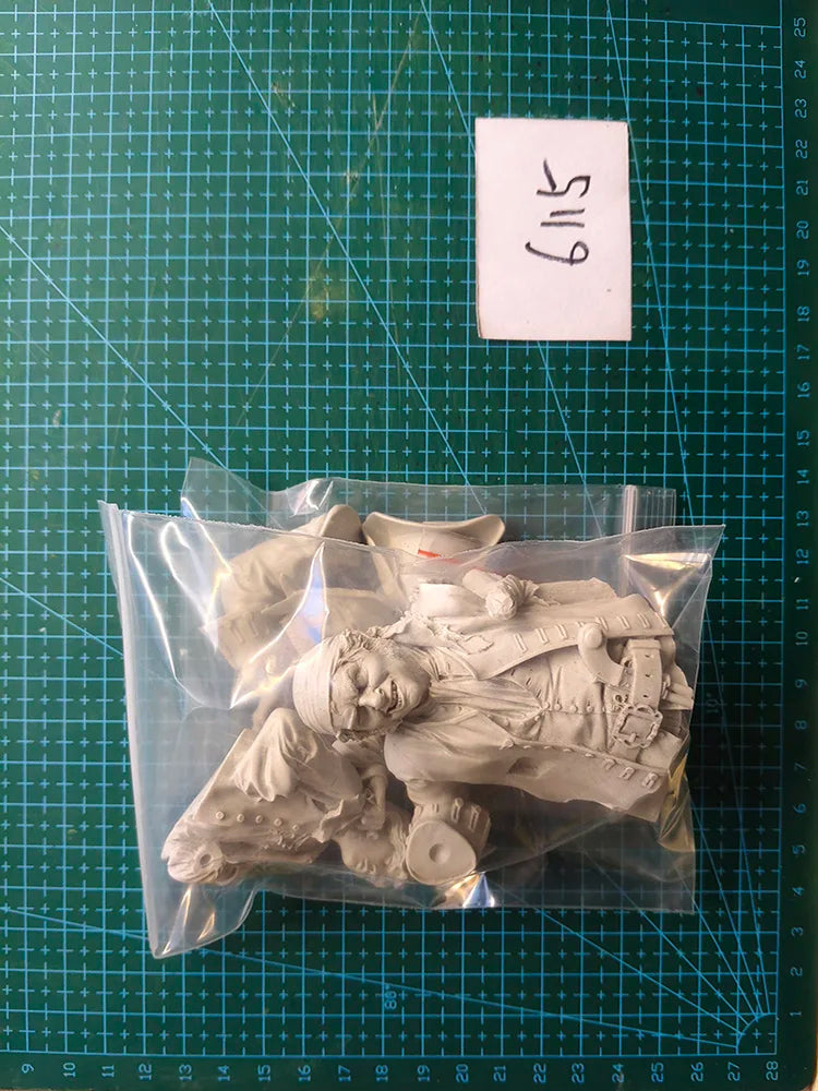1/10 Napoleonic Nobleman, Resin Model Bust Kit, Unassembled and Unpainted