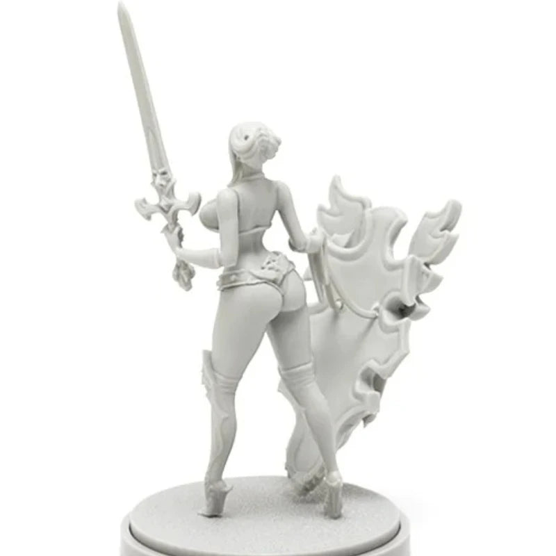 30mm Female Paladin Warriors, 2 Figures, Resin Model Figure Kit, Fantasy Theme, Unassembled and Unpainted