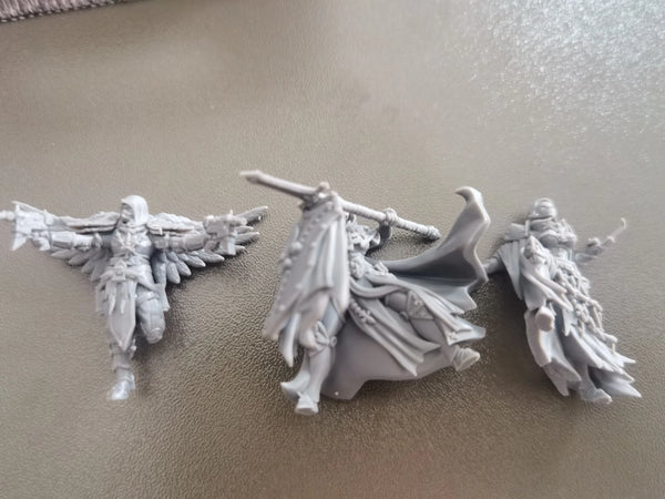 32mm Winged Demons & Warriors, 9 Figures, Resin Model Figure Kit, Fantasy Theme, Unassembled and Unpainted