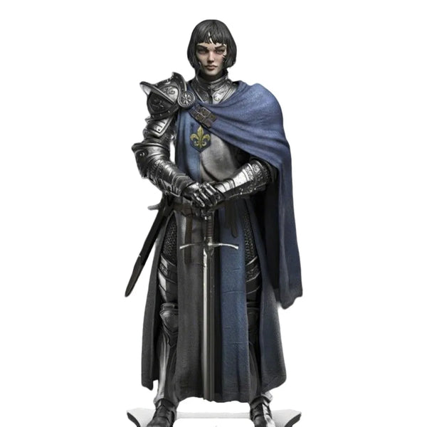 Medieval Female Knight, Resin Model Figure Kit, Unassembled and Unpainted