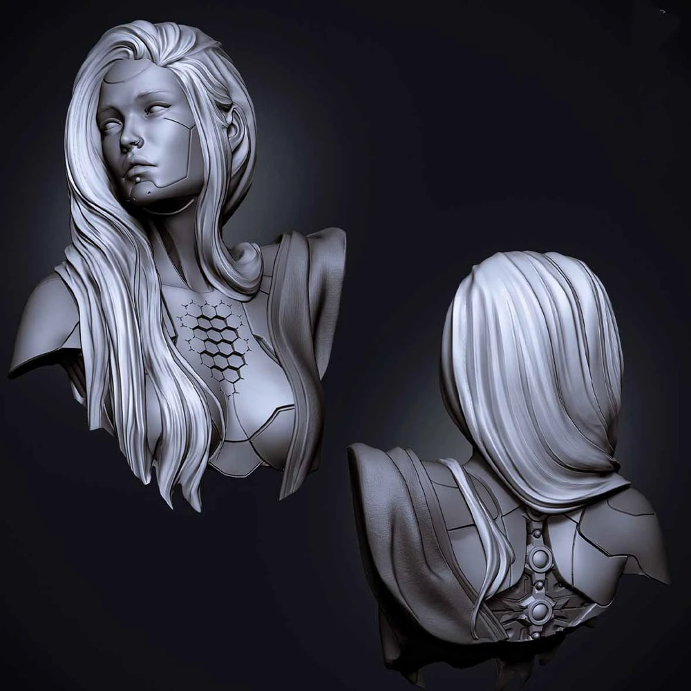 65mm Female Warrior in Armor, Resin Model Bust Kit, Fantasy Theme, Unassembled and Unpainted