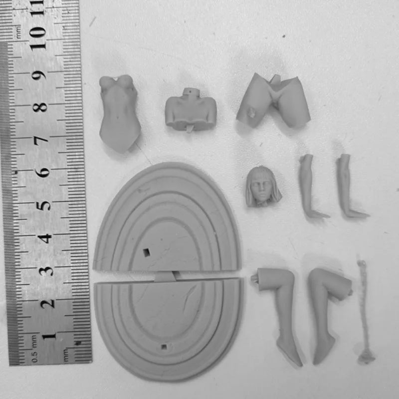 1/24 Female, Resin Model Bust Kit, Anime Theme, Unassembled and Unpainted