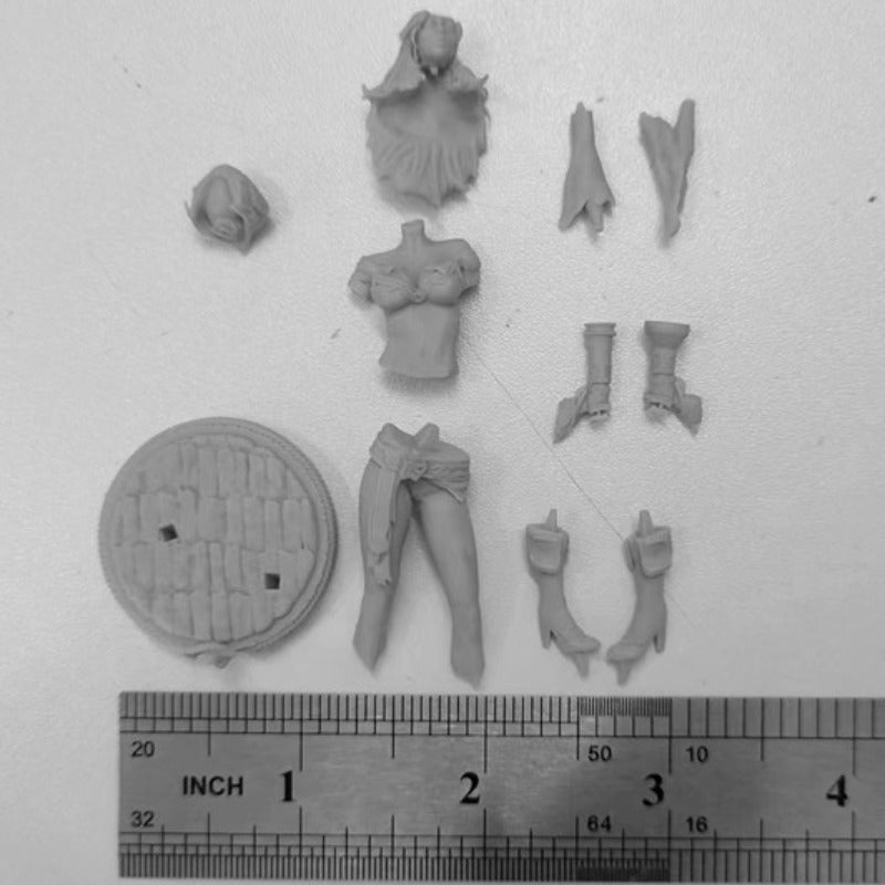 1/24 Female Pirate Captain, Resin Model Figure Kit, Fantasy Theme, Unassembled and Unpainted