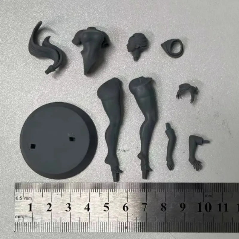 1/24 Yoruichi Shihouin, Resin Model Figure Kit, Anime Theme, Unassembled and Unpainted